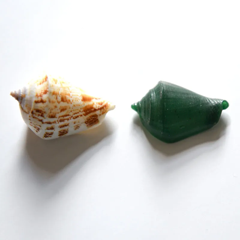 moulage de coquillage