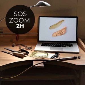 Formation-en-ligne-bijouterie-electroformage-cuivre-seance-zoom-2h-rattrapage